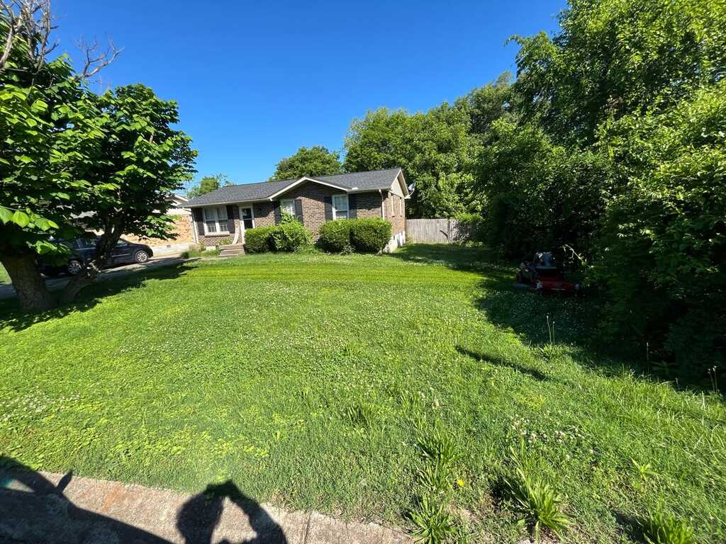 Open residential grass area after lawn service