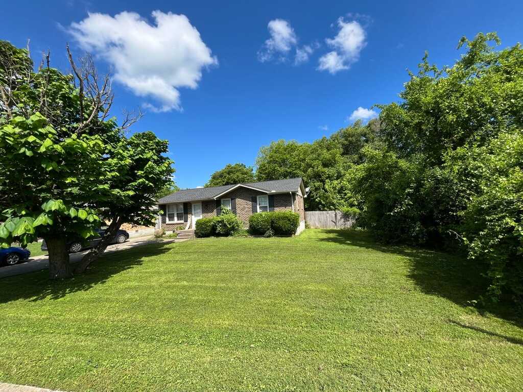Green residential lawn with trees and a maintained edge